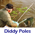 Diddy Poles