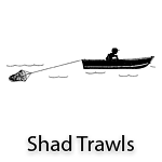 Shad Trawls
